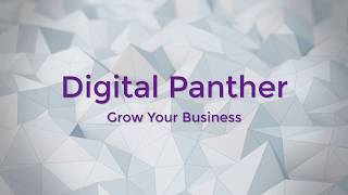 Digital Marketing  Digtal Panther [upl. by Nodgnal562]