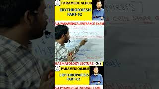 haematology mlt haematopoiesis haemopoiesis formationofblood bmlt bmltlecture bloodcell [upl. by Mitchel]