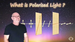 What is Polarised Light Polarisation Part 1  Waves  Physics [upl. by Euqcaj]