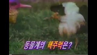 추억의 영상 퀴즈탐험 신비의세계 동물들의 핵주먹은편 1998 CF collections of Koreas Remembrance 1998 [upl. by Blaise]