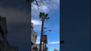 B2 Bomber flies over the Rose Bowl Parade [upl. by Nisior]