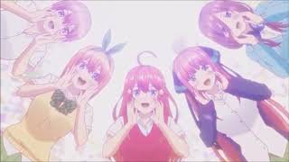 Gotoubun no Hanayome AMV Return To The Wild [upl. by Aiello312]