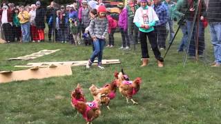 Chicken Race at Duntroon Hall [upl. by Kensell]