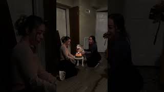 Joyful cultural celebration Milwaukee family serenades beloved dog Luka on his birthday [upl. by Nalla]