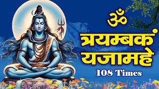 महामृत्युंजय मंत्र 108 बार। Mahamrityunjay Mantra  Shiva Songs  Om Tryambakam Yajamahe [upl. by Ethbun]