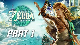 The Legend of Zelda Tears of the Kingdom Walkthrough Part 1  Great Sky Island amp Temple of Time [upl. by Aldin]