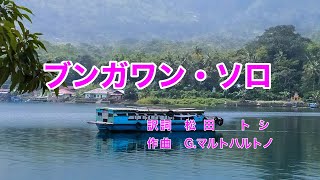 ブンガワン・ソロ｜日本語歌詞｜インドネシアの歌｜ブンガワン・ソロ 涯しなき流れに [upl. by Noxas]