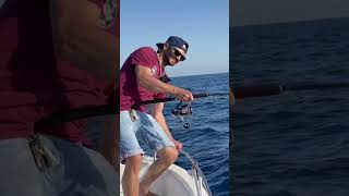 Big catch on fishingboat italcannafishing hunger 65 [upl. by Petuu]