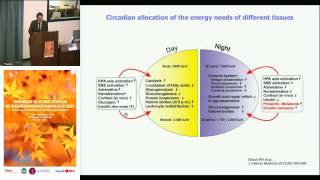 Circadian rhythm and inflammation  Rainer H Straub University of Regensburg [upl. by Donelson]