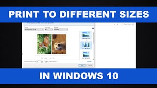 How to Print Photos in Different Sizes in Windows 10 [upl. by Clemmie]