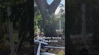 fencingcontractor floridafencing diy shortvideo shorts [upl. by Nwahsd]