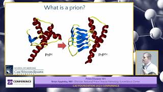 Prion Disease Basics Clinical  2023 Family Conference [upl. by Ynnattirb994]