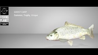 Fishing Planet  Weeping Willow Fisheries  Unique  Ghost Carp  Bottom [upl. by Omiseno]