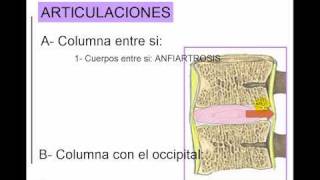 COLUMNA 5 [upl. by Aerdnat]