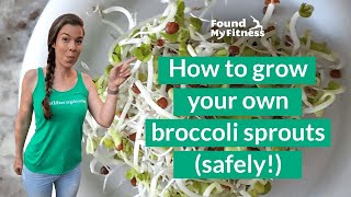 How to Grow Broccoli Sprouts [upl. by Browne]