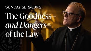 The Goodness—and Dangers—of the Law  Bishop Barrons Sunday Sermon [upl. by Hartzell]