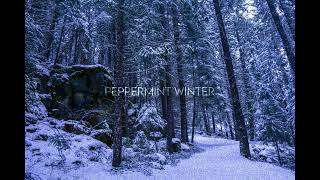 Owl City  Peppermint Winter instrumental cover [upl. by Nic458]