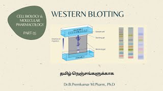 Western Blotting  CBMPPart35Tamil [upl. by Noryd]