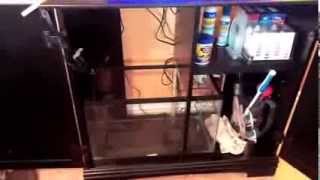 How to setup a 10 Gallon Nano Reef Tank Sump installation [upl. by Xirtaeb923]