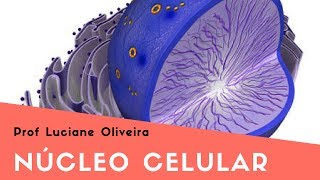 Núcleo Celular [upl. by Nelg972]