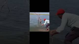 fishing fish angling funny amazing trending [upl. by Demitria679]