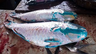 PERFECT CUTTING SKILLS  PARROT FISH CUTTING BY MARKET STREET FOOD [upl. by Emad]