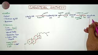 Cholesterol Synthesis  Lipid Metabolism  Doctor Z [upl. by Oran]