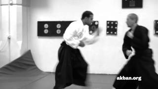 Kimon Kukishin ryu Dakentaijutsu  Ninjutsu technique for Akban wiki [upl. by Nnylecoj242]