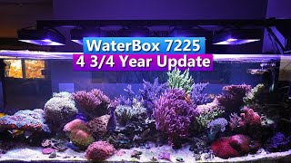 Waterbox 7225 Peninsula  4 34 Year Update  Saltwater Aquarium Tank Tour [upl. by Alansen]