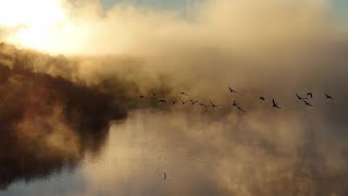 Early Morning Fog on the Lake 2  the next day [upl. by Dukey]