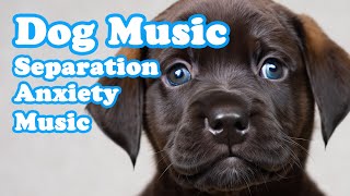 Dog Music🎵Relaxing Dog Music TV🐶Deep Sleep amp Separation anxiety relief music💖Dog Calm Music [upl. by Cheshire]