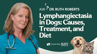 Lymphangiectasia in Dogs Causes Treatment and Diet  Ask Dr Ruth Roberts [upl. by Htur]