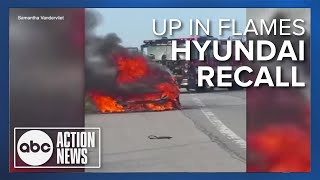 Hyundai recalls over 44K SUVs over fire risk [upl. by Hoopen999]