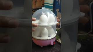 Best Electric Egg Boiler short youtube  viral  vide [upl. by Kimberlyn630]