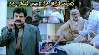 Balakrishna Powerful Dialogue And Action Scene  balakrishna  CinemaChupistha [upl. by Trevlac]