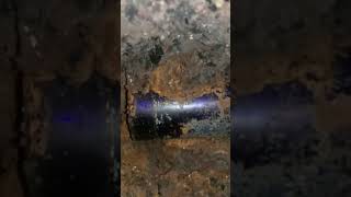 Live excavation of a cobalt blue appocathory glass found bottle digging Glasgow Scotland [upl. by Eylrahc]