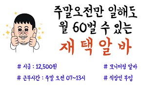 직장인이 주말에 부업으로 하기 좋은 최고의 재택알바 시급  12500원  월 60만원  오전 0713시 근무 [upl. by Pliam712]