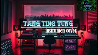 TANG TING TUNG intrumen cover [upl. by Acalia]