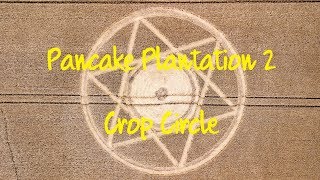 Crop Circle  Pancake Plantation 2 Nr Alton Hampshire  Reported 19th August 2018 [upl. by Hoyt116]