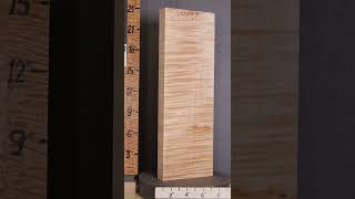 D5029 Musical Billet Curly Maple Vertical Grain Lumber woodworking figuredmaple curlymaple [upl. by Patrizius23]