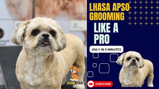 How to Groom Lhasa Apso  Grooming a lhasa apso with detailed explanation of medicated bath [upl. by Neel]