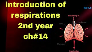 respiration class 12 [upl. by Docilla50]