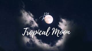 Tropical Moon【No562024】 [upl. by Phedra]