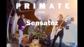 Primate Sensatez En Vivo [upl. by Enneira]