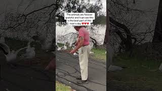 Bless this man from Renmark South Australia ❤️🇦🇺 bekind renmark [upl. by Keever4]