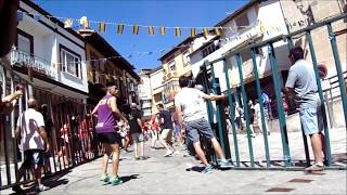 FIESTAS TABACO Y EL PIMIENTO  Toros hinchables y vaquillas  en Jaraíz de la Vera Cáceres [upl. by Raphael]