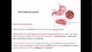 Helicobacter pylori signs and symptoms [upl. by Janice]