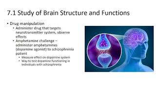 7 Psychophysiology Methods and Development of the Nervous System [upl. by Yllatan]