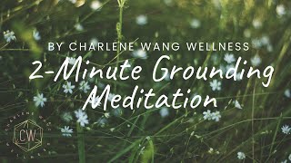 2 Minute Guided Meditation for Grounding [upl. by Briney874]