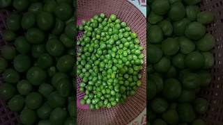 Easy matar tamatar recipe 😋 youtubeshorts foodieshorts ytviralshorts shorts [upl. by Nnylyam]